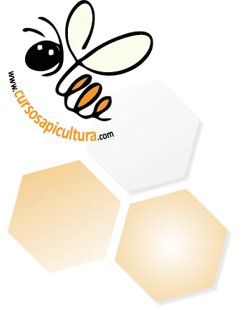 cursosapicultura